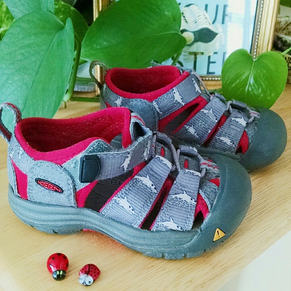 keen shark sandals
